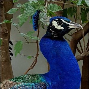 Meet your Posher, Cindy